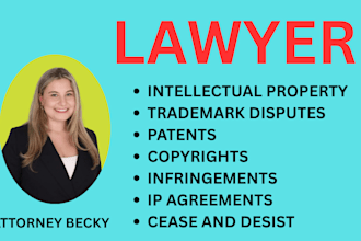 be intellectual property, trademark, patent and copyright infringement lawyer