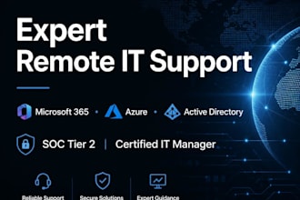provide expert remote IT support and consulting