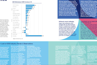 design a professional annual report or brochure