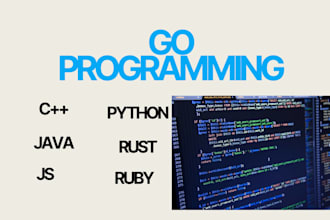 write your rust and go programs