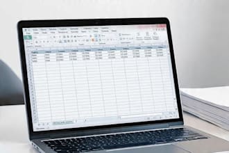 do fast and accurate data entry and excel work