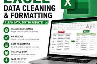 clean, format and organize excel spreadsheet data