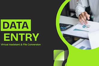 be your expert data entry and virtual assistant