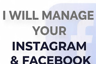 manage your instagram and facebook page for business growth