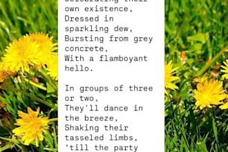 write you a freeverse poem