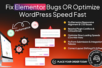 fix elementor bugs or optimize wordpress speed fast
