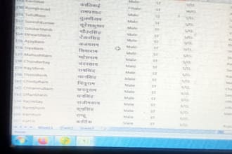 do professional data entry and excel data typing work
