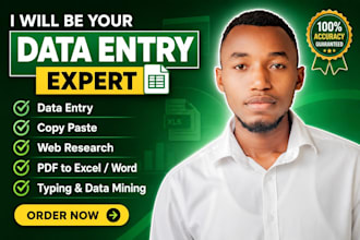 fast data entry, web development, copy paste, excel data entry, pdf to exel