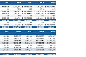 build a professional financial model and 3 statement forecast