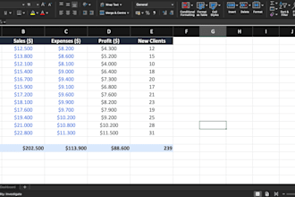 build you a professional excel business dashboard with automated analytics