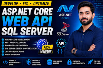develop, fix, or optimize asp net core web apis and sql server