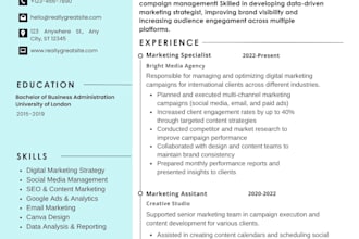 design a professional ats friendly CV or resume