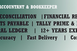 be your professional accountant bookkeeping and bank reconciliation