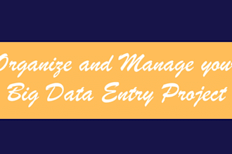 organize and manage your big data entry projects