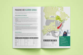 design a professional annual report