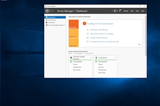 install, configure and troubleshoot windows server