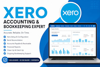 do xero bookkeeping cleanup catch up and reconciliation