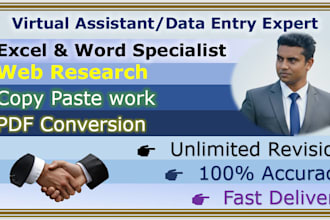 be your professional virtual assistant for data entry and web research