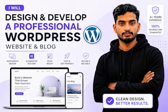 design and develop a professional wordpress website and blog