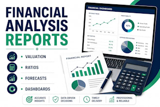 do financial analysis, finance reports, and company valuation