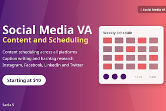 be your social media virtual assistant for content scheduling and engagement