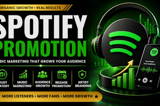 do spotify promotion music marketing and playlist promotion