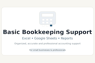provide basic bookkeeping and accounting support in excel