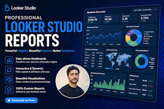 create professional google looker studio dashboards, reports visualization