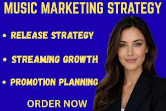 build a music marketing strategy to grow your streams and fanbase