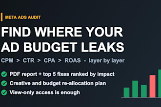 audit your facebook meta ads account with an action plan report
