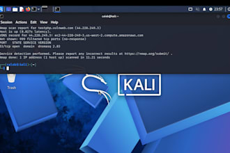 website vulnerability assessment and security audit