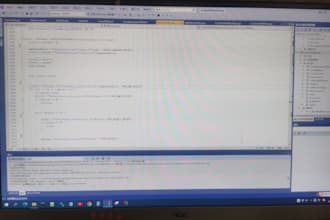 fix java csharp cplusplus bugs within 24h