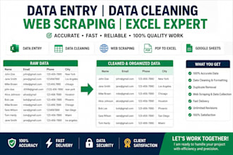 do data entry, excel expert, web scraping and data cleaning