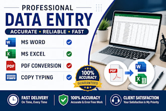 do professional data entry,excel,word and PDF conversion