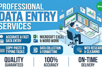 do professional data entry and microsoft excel work