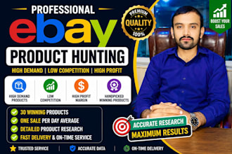 hunt ebay products with high sales and profit potential