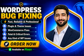 fix wordpress issues, fix wordpress bugs and fix website errors