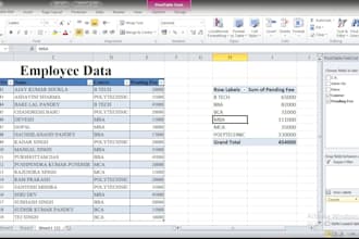 do excel and googlesheet data entry or formatting