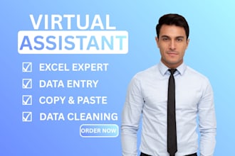 do microsoft excel data entry and data formattting