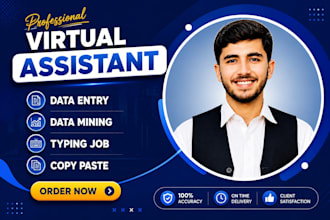 do microsoft excel data entry and data formattting
