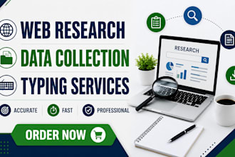 do web research, data collection and typing work