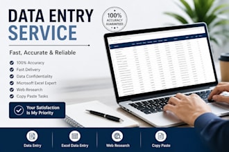 be your professional data entry assistant