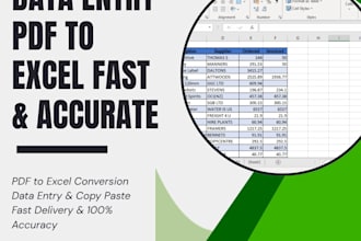 excel data entry, formatting, and spreadsheet work