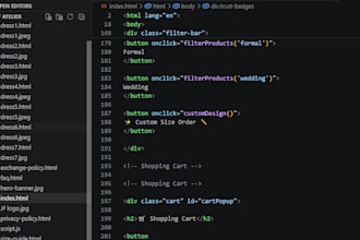 fix html css and javascript issues in your website