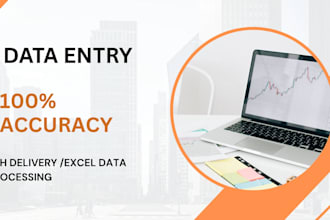 do accurate data entry ,excel sheet