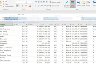 create professional microsoft project plans and gantt charts