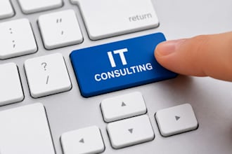 provide professional IT consulting for your business and startup