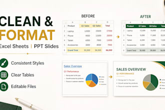 format powerpoint slides and excel sheets professionally