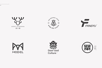 design a professional brand logo and identify system at low cost