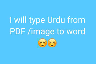 do fast urdu typing, PDF to word and data entry